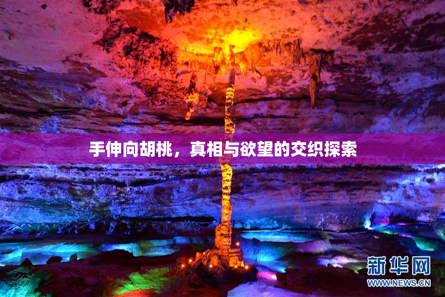 手伸向胡桃，真相与欲望的交织探索