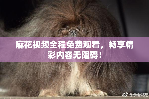 麻花视频全程免费观看，畅享精彩内容无阻碍！