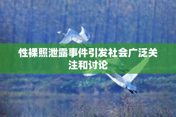 性裸照泄露事件引发社会广泛关注和讨论