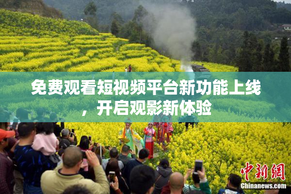 免费观看短视频平台新功能上线，开启观影新体验