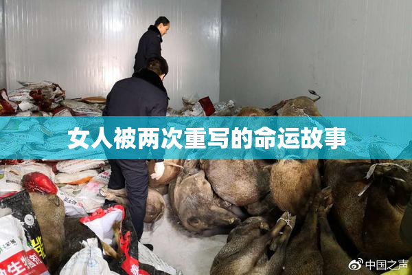 女人被两次重写的命运故事