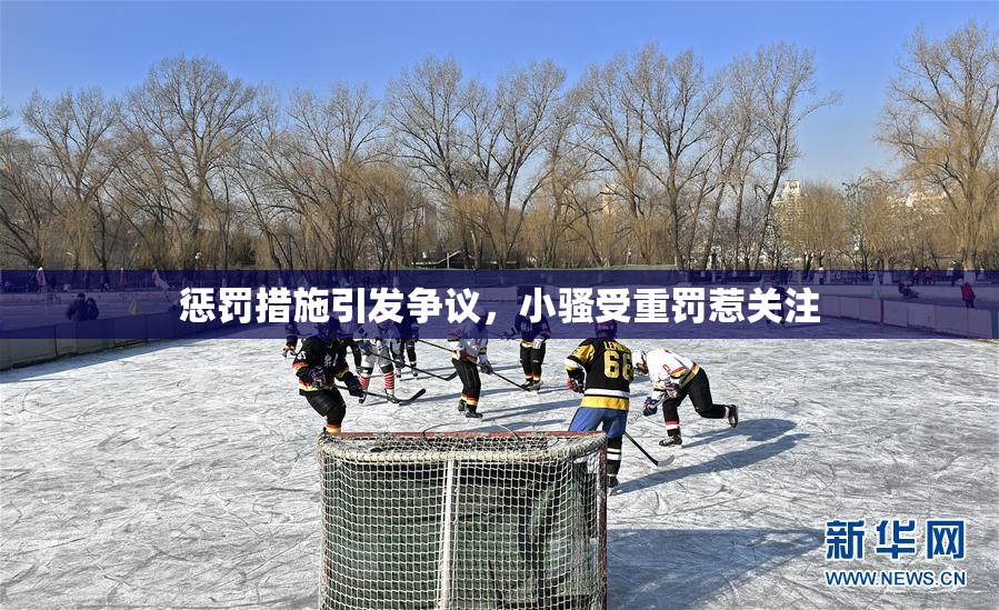 惩罚措施引发争议，小骚受重罚惹关注