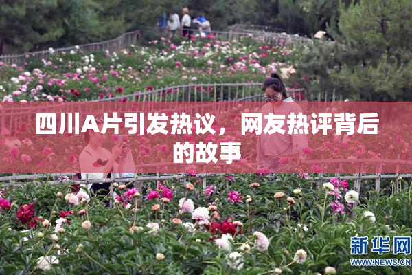 四川A片引发热议，网友热评背后的故事