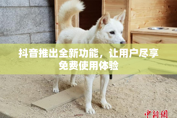 抖音推出全新功能，让用户尽享免费使用体验