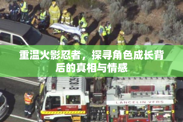 重温火影忍者，探寻角色成长背后的真相与情感