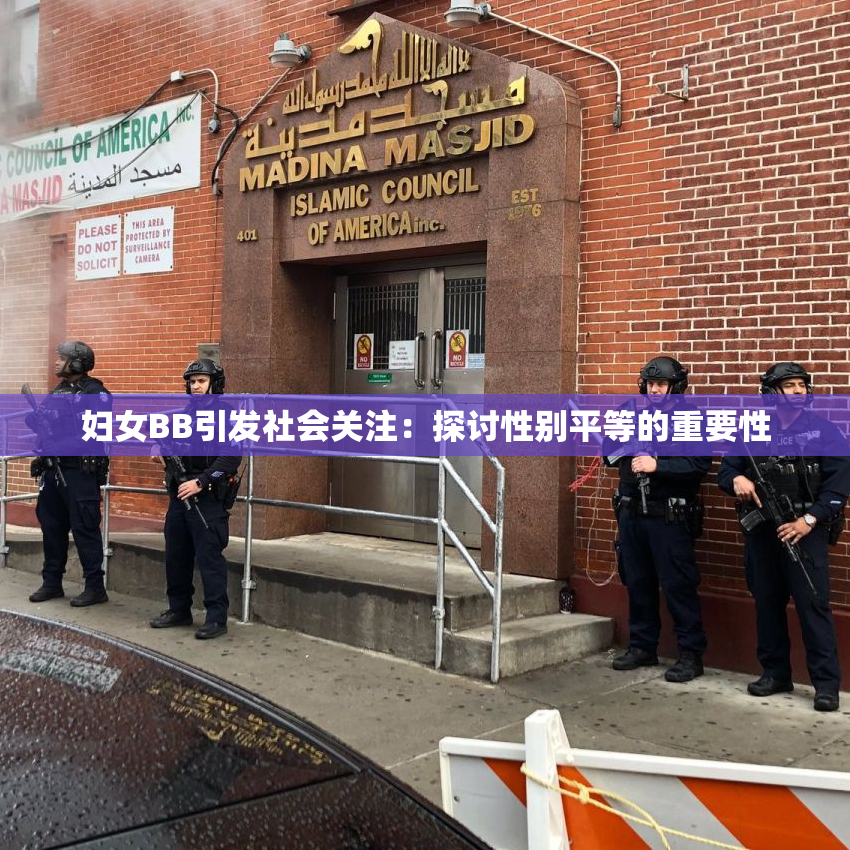 妇女BB引发社会关注：探讨性别平等的重要性