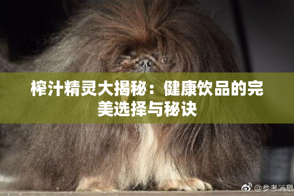 榨汁精灵大揭秘：健康饮品的完美选择与秘诀