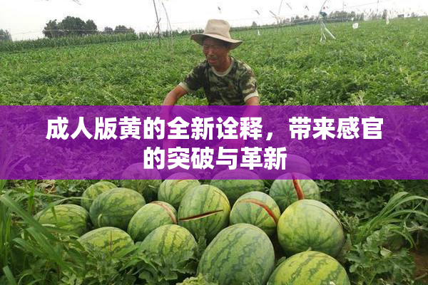 成人版黄的全新诠释，带来感官的突破与革新