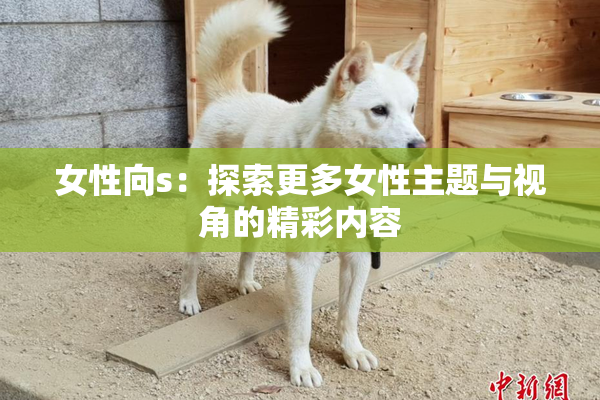 女性向s：探索更多女性主题与视角的精彩内容