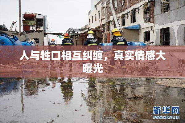 人与牲口相互纠缠，真实情感大曝光
