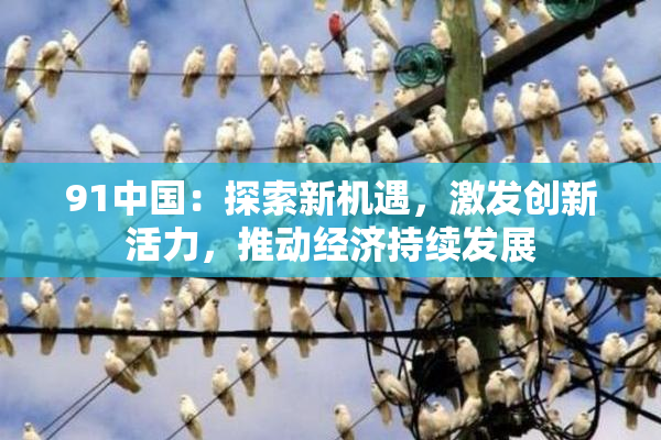 91中国：探索新机遇，激发创新活力，推动经济持续发展