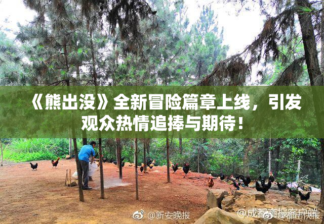 《熊出没》全新冒险篇章上线，引发观众热情追捧与期待！