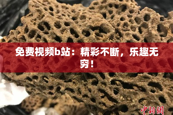 免费视频b站：精彩不断，乐趣无穷！