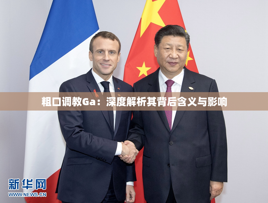 粗口调教Ga：深度解析其背后含义与影响