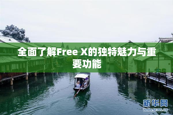 全面了解Free X的独特魅力与重要功能