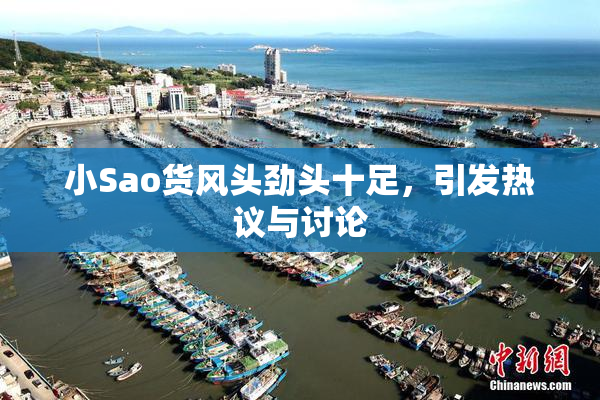 小Sao货风头劲头十足，引发热议与讨论