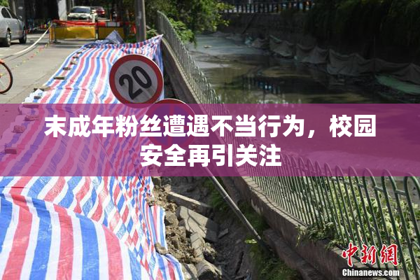 末成年粉丝遭遇不当行为，校园安全再引关注