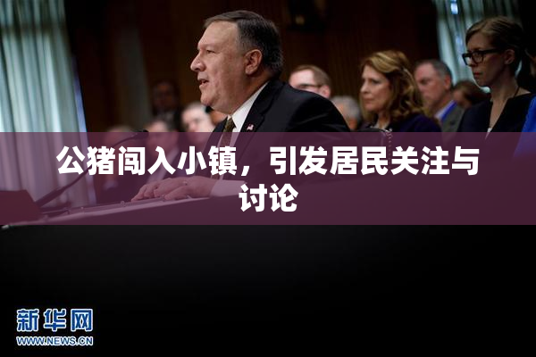 公猪闯入小镇，引发居民关注与讨论
