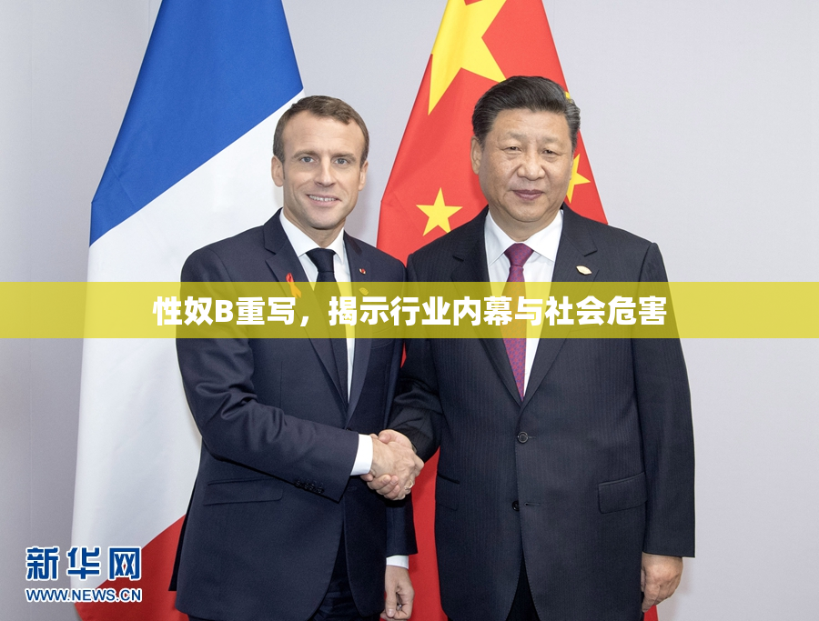 性奴B重写，揭示行业内幕与社会危害