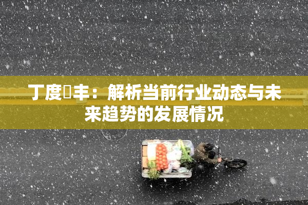 丁度巜丰：解析当前行业动态与未来趋势的发展情况