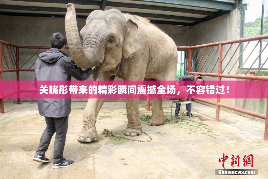 关晓彤带来的精彩瞬间震撼全场，不容错过！
