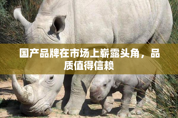 国产品牌在市场上崭露头角，品质值得信赖