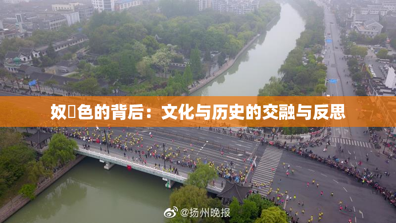 奴隷色的背后：文化与历史的交融与反思