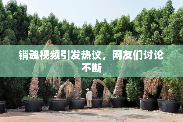 销魂视频引发热议，网友们讨论不断
