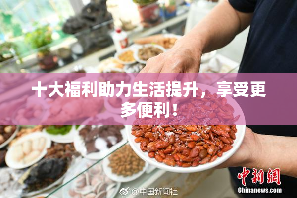 十大福利助力生活提升，享受更多便利！