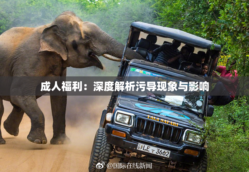 成人福利：深度解析污导现象与影响