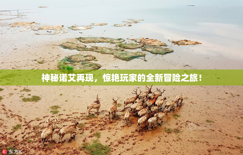 神秘诺艾再现，惊艳玩家的全新冒险之旅！