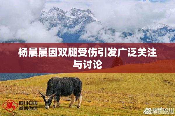 杨晨晨因双腿受伤引发广泛关注与讨论
