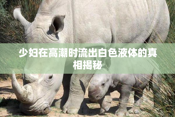 少妇在高潮时流出白色液体的真相揭秘