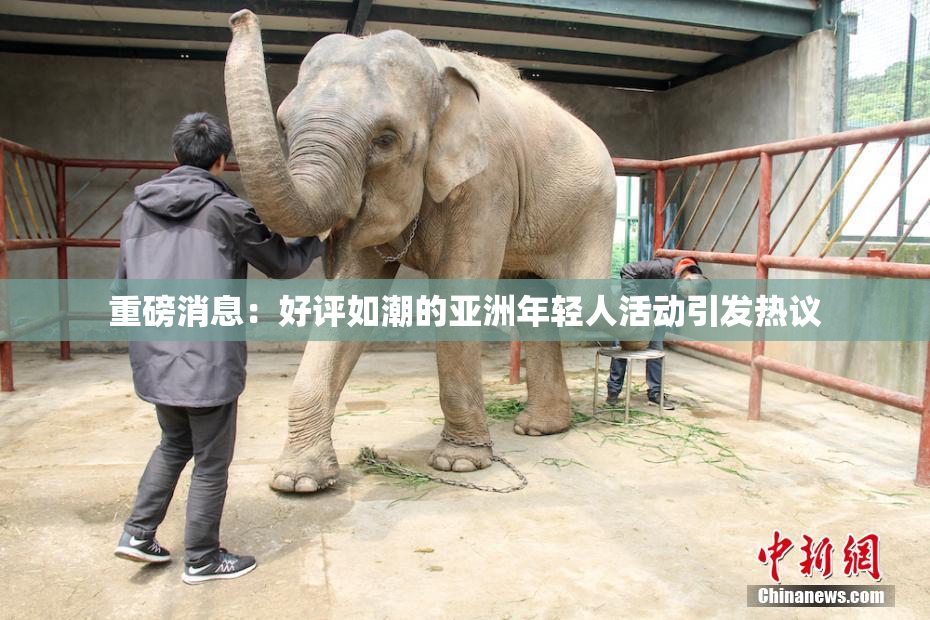 重磅消息：好评如潮的亚洲年轻人活动引发热议