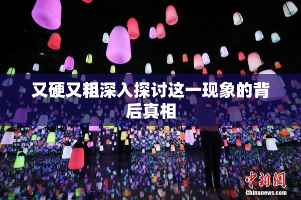 又硬又粗深入探讨这一现象的背后真相