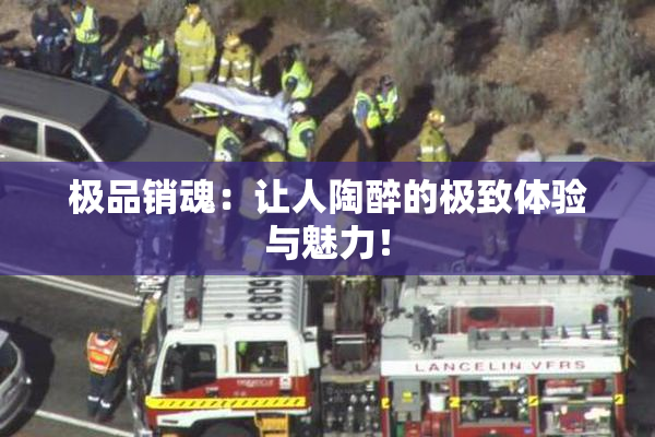 极品销魂：让人陶醉的极致体验与魅力！