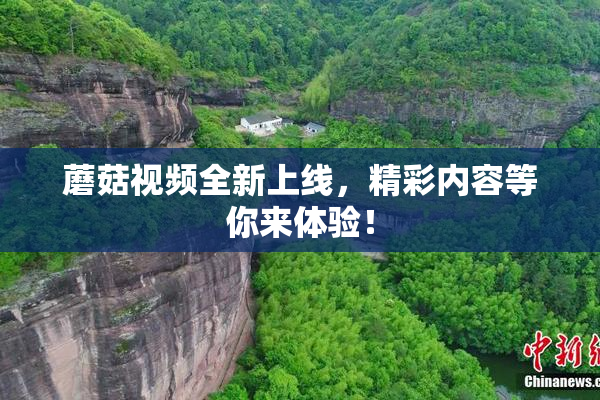 蘑菇视频全新上线，精彩内容等你来体验！