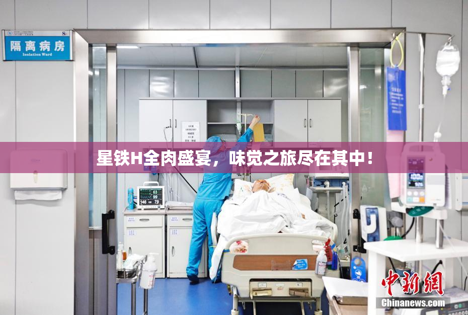 星铁H全肉盛宴，味觉之旅尽在其中！