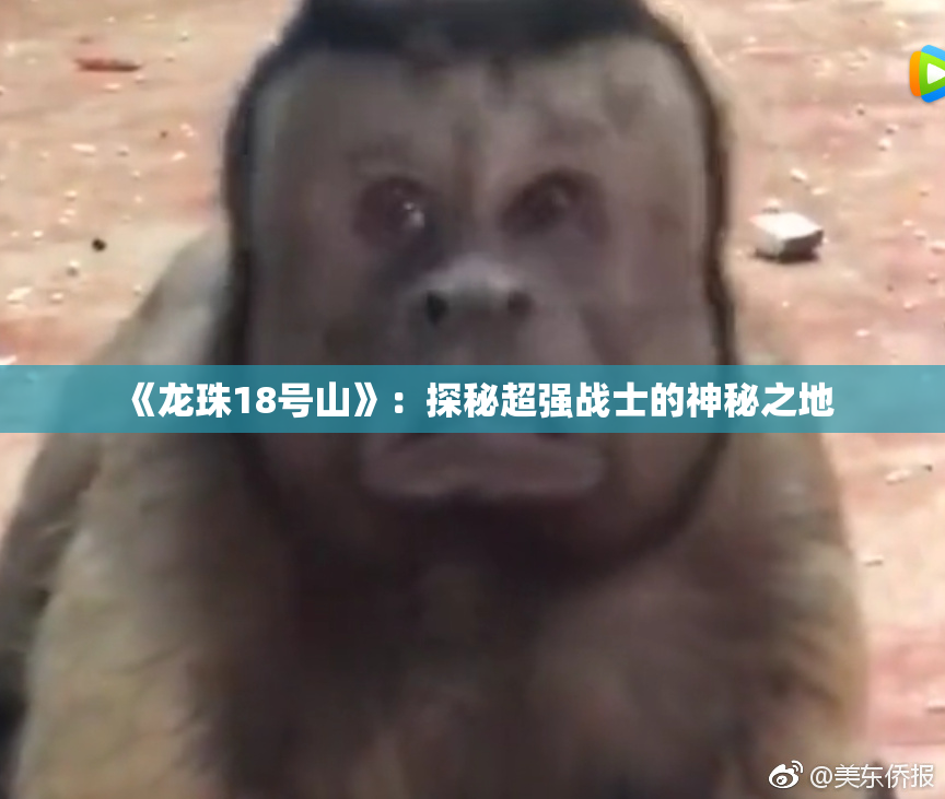 《龙珠18号山》：探秘超强战士的神秘之地