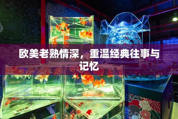 欧美老熟情深，重温经典往事与记忆