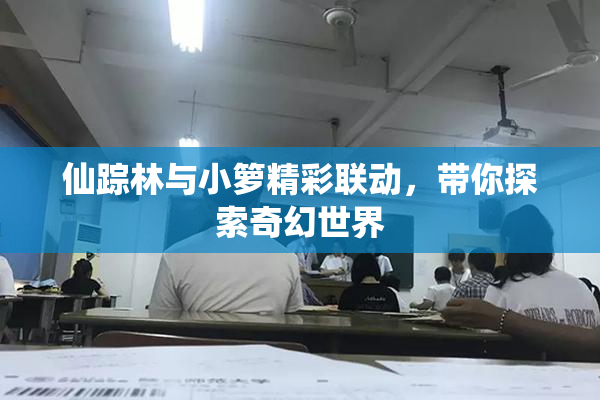 仙踪林与小箩精彩联动，带你探索奇幻世界