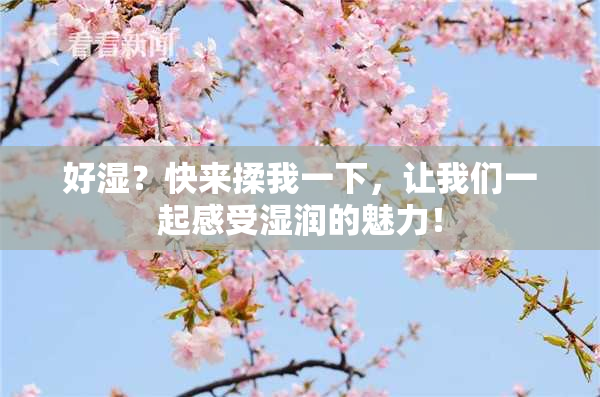 好湿？快来揉我一下，让我们一起感受湿润的魅力！