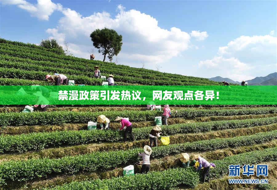 禁漫政策引发热议，网友观点各异！