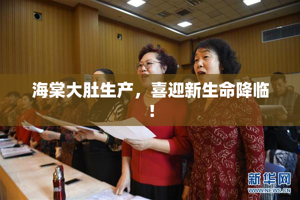 海棠大肚生产，喜迎新生命降临！