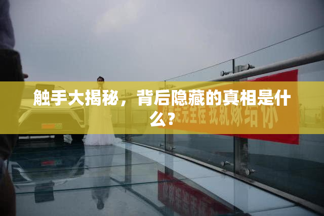 触手大揭秘，背后隐藏的真相是什么？