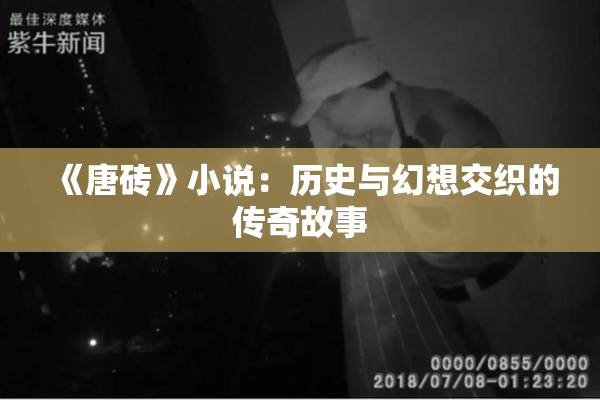 《唐砖》小说：历史与幻想交织的传奇故事