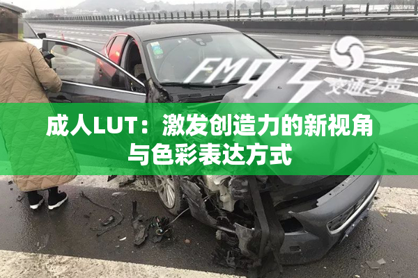 成人LUT：激发创造力的新视角与色彩表达方式