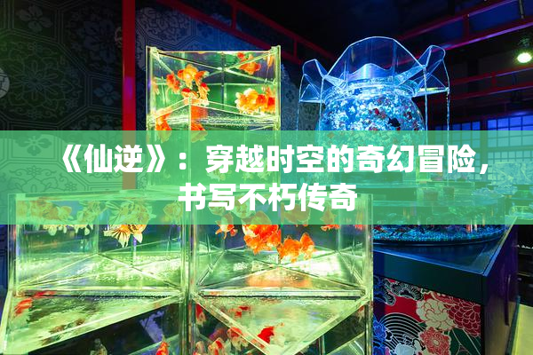 《仙逆》：穿越时空的奇幻冒险，书写不朽传奇