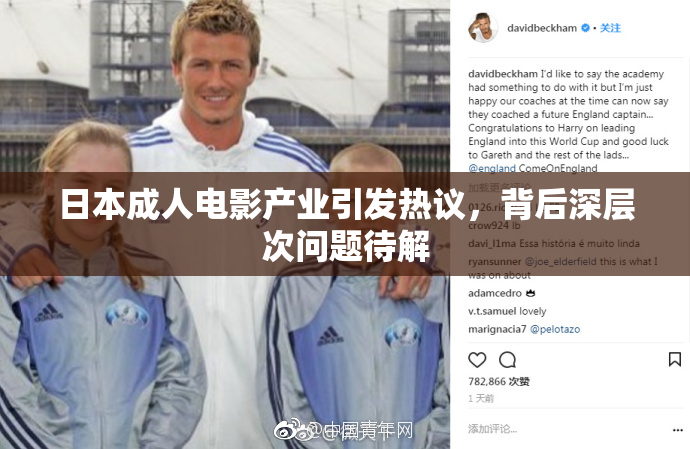 日本成人电影产业引发热议，背后深层次问题待解