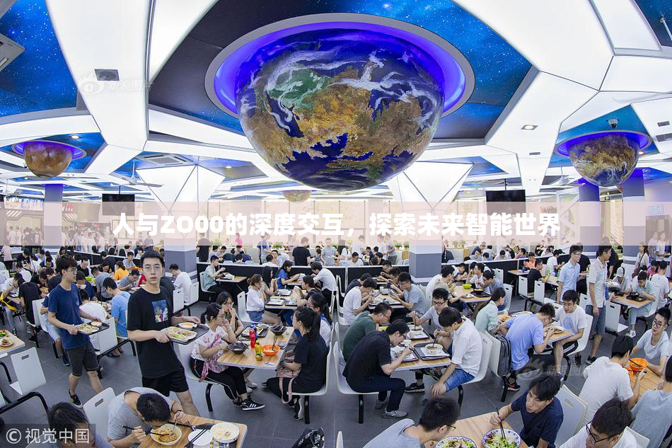 人与ZO00的深度交互，探索未来智能世界
